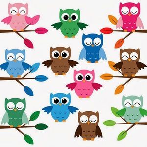 Meet your Posher, Abigail